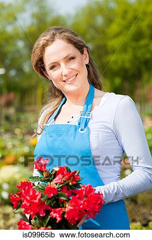 Woman holding red flowers, portrait View Large Photo Image Stock Image - Woman holding red flowers, portrait. Fotosearch