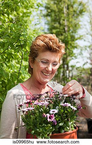 Woman looking at pot plant in nursery View Large Photo Image Stock Photograph - Woman looking at pot plant in nursery. Fotosearch