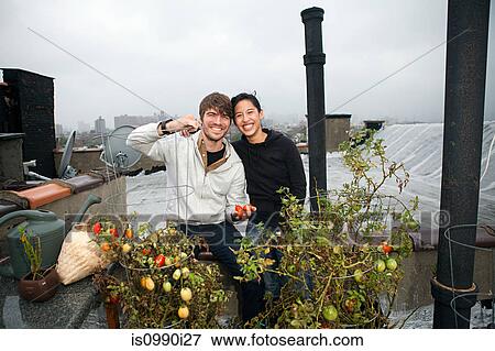 Young couple on roof garden growing tomatoes View Large Photo Image Stock Photo - Young couple on roof garden growing tomatoes. Fotosearch