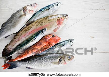 A selection of raw fish View Large Photo Image Stock Image - A selection of raw fish. Fotosearch