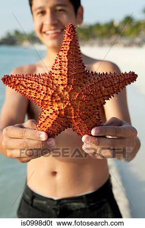 Boy holding a starfish View Large Photo Image Stock Photograph - Boy holding a starfish. Fotosearch