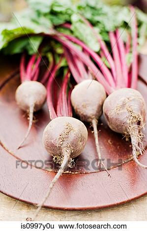 Fresh beetroot with stems View Large Photo Image Stock Photograph - Fresh beetroot with stems. Fotosearch