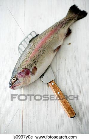 Fresh rainbow trout on a fish server View Large Photo Image Stock Image - Fresh rainbow trout on a fish server. Fotosearch