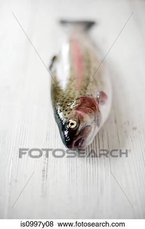 Fresh rainbow trout View Large Photo Image Stock Photo - Fresh rainbow trout. Fotosearch