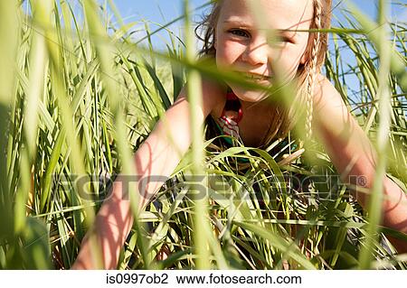 Girl looking through long grass View Large Photo Image Stock Image - Girl looking through long grass. Fotosearch
