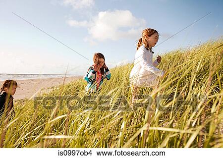 Girls walking through long grass at beach View Large Photo Image Picture - Girls walking through long grass at beach. Fotosearch