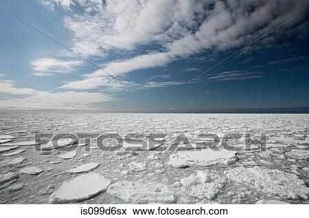 Ice floe, Svalbard Archipelago, Norway, Vietnam View Large Photo Image Stock Photo - Ice floe, Svalbard Archipelago, Norway, Vietnam. Fotosearch