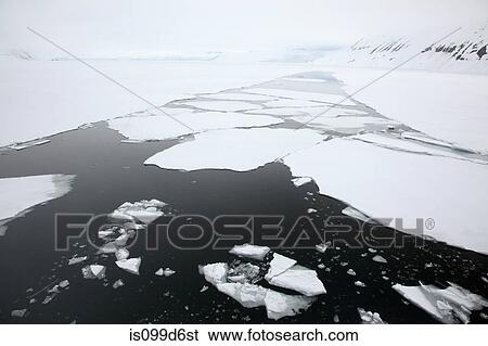 Ice floe, Svalbard Archipelago, Norway, Vietnam View Large Photo Image Stock Photograph - Ice floe, Svalbard Archipelago, Norway, Vietnam. Fotosearch
