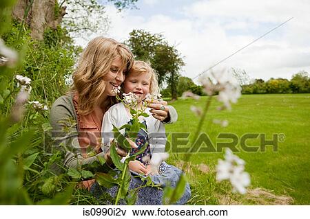 Mother and daughter sitting in field with wildflowers View Large Photo Image Stock Photo - Mother and daughter sitting in field with wildflowers. Fotosearch