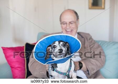 Stock Image - Senior man sitting on a sofa with dog in blue collar. Fotosearch