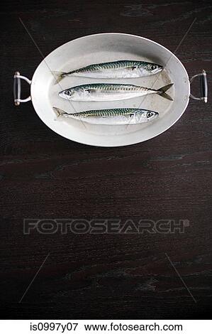 Three sustainable fishes in a dish View Large Photo Image Stock Photo - Three sustainable fishes in a dish. Fotosearch