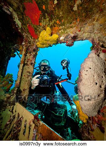 Underwater photographer on wreck View Large Photo Image Stock Photo - Underwater photographer on wreck. Fotosearch