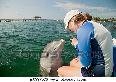 Young woman pointing at bottlenose dolphin View Large Photo Image Stock Photography - Young woman pointing at bottlenose dolphin. Fotosearch