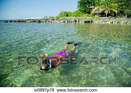 Stock Photo - Young woman snorkelling in shallow water. Fotosearch