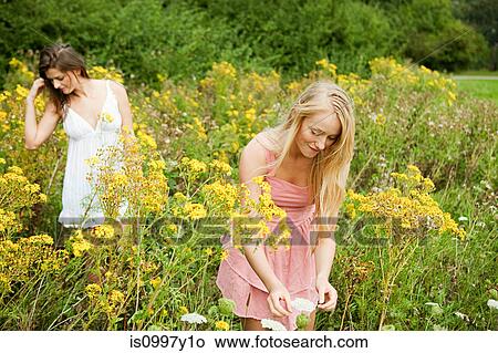 Young women picking flowers in countryside View Large Photo Image Picture - Young women picking flowers in countryside. Fotosearch