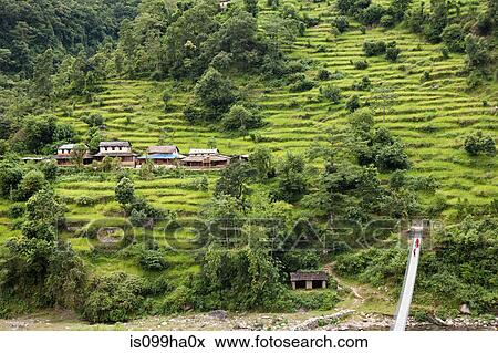 High angle view of road to Chitwan, Nepal View Large Photo Image Stock Photo - High angle view of road to Chitwan, Nepal. Fotosearch