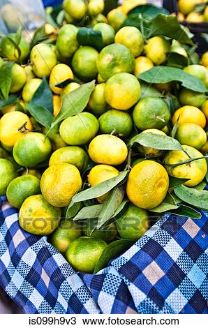 Limes on stall, Oludeniz market, Turkey View Large Photo Image Stock Image - Limes on stall, Oludeniz market, Turkey. Fotosearch