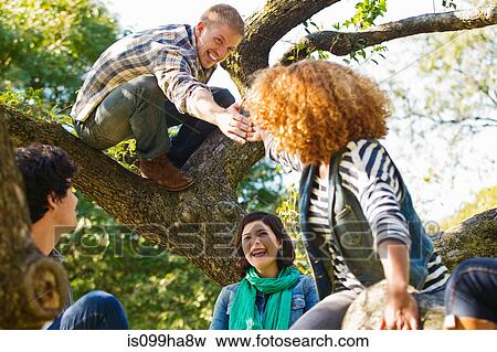 Mid adult man in tree reaching for friends View Large Photo Image Stock Photo - Mid adult man in tree reaching for friends. Fotosearch