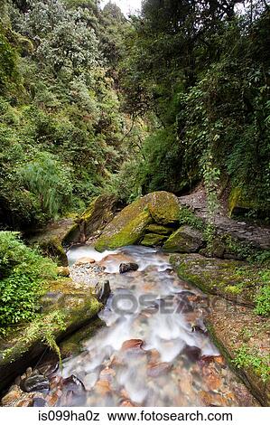 Mountain river in Nepal View Large Photo Image Stock Photo - Mountain river in Nepal. Fotosearch