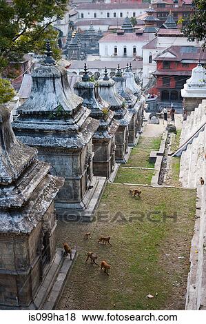 Pashupatinath Temple, Kathmandu, Nepal View Large Photo Image Stock Photo - Pashupatinath Temple, Kathmandu, Nepal. Fotosearch