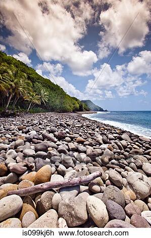 Beach at Jungle Bay Resort, Dominica, Lesser Antilles View Large Photo Image Stock Image - Beach at Jungle Bay Resort, Dominica, Lesser Antilles. Fotosearch