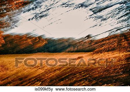 Blurred image of forest and field View Large Photo Image Stock Photo - Blurred image of forest and field. Fotosearch