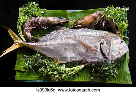 Fresh tuna and tiger prawns View Large Photo Image Stock Photography - Fresh tuna and tiger prawns. Fotosearch