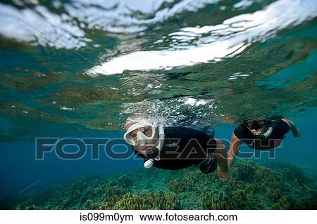 Picture - Couple views coral reef. Fotosearch