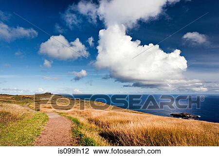 Easter island, polynesia View Large Photo Image Stock Image - Easter island, polynesia. Fotosearch
