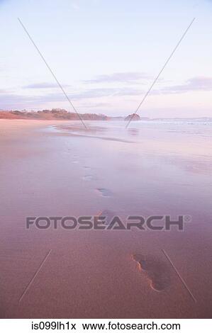 Footprints in sand at sunset, Playa Grande, Santa Cruz, Costa Rica View Large Photo Image Stock Photo - Footprints in sand at sunset, Playa Grande, Santa Cruz, Costa Rica. Fotosearch