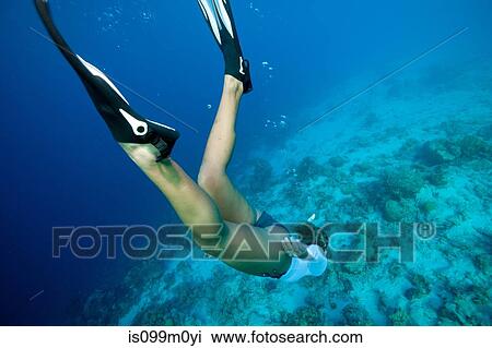 Freediver heads to the bottom View Large Photo Image Stock Image - Freediver heads to the bottom. Fotosearch