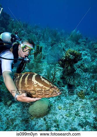Interaction with Marine Life View Large Photo Image Picture - Interaction with Marine Life. Fotosearch