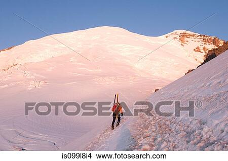 Picture - Male climber carrying skis up mountain, Emmons Glacier, Mount Rainier National Park, Washington, USA. Fotosearch