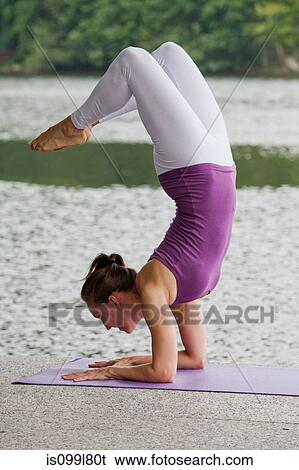 Mid adult woman performing yoga scorpion pose by river, looking away View Large Photo Image Stock Photograph - Mid adult woman performing yoga scorpion pose by river, looking away. Fotosearch