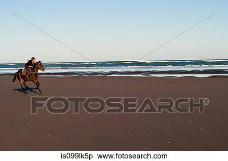 Stock Photography - Mid adult woman riding horse on beach. Fotosearch