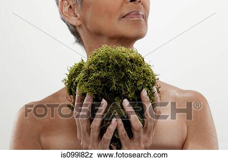 Stock Photo - Senior woman holding plant, studio shot. Fotosearch