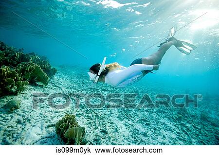 Snorkeler approaches coral reef View Large Photo Image Stock Image - Snorkeler approaches coral reef. Fotosearch