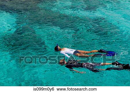 Snorkelers in the Caribbean Sea View Large Photo Image Stock Photograph - Snorkelers in the Caribbean Sea. Fotosearch