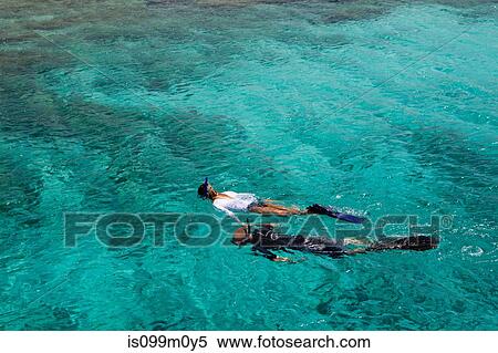 Stock Photography - Snorkelers in the Caribbean Sea. Fotosearch