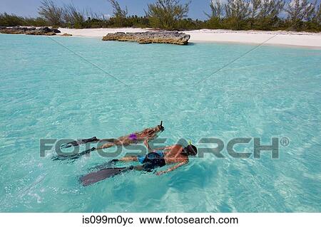 Stock Image - Snorkeling in the Atlantic Ocean. Fotosearch