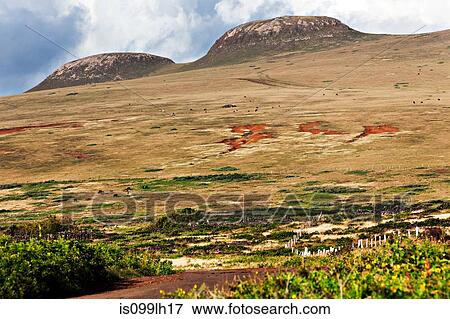 Stock Photo - Terevaka volcano, easter island, polynesia. Fotosearch