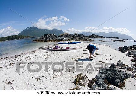 Woman looking for shells on beach, Esperanza Inlet, Vancouver Island, British Columbia, Canada View Large Photo Image Stock Photo - Woman looking for shells on beach, Esperanza Inlet, Vancouver Island, British Columbia, Canada. Fotosearch