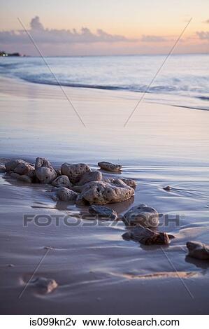 Stock Photo - Caribbean sea washing over beach and rocks, Grand Cayman, Cayman Islands. Fotosearch
