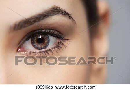 Close-up of a beautiful woman's eye View Large Photo Image Stock Photography - Close-up of a beautiful woman's eye. Fotosearch