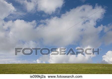Green grass and clouds in blue sky View Large Photo Image Stock Image - Green grass and clouds in blue sky. Fotosearch