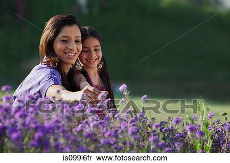 Mother and daughter plucking flowers View Large Photo Image Stock Photography - Mother and daughter plucking flowers. Fotosearch