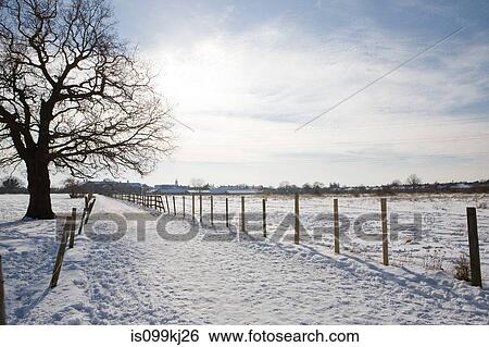 Stock Photograph - Path and field covered in snow. Fotosearch