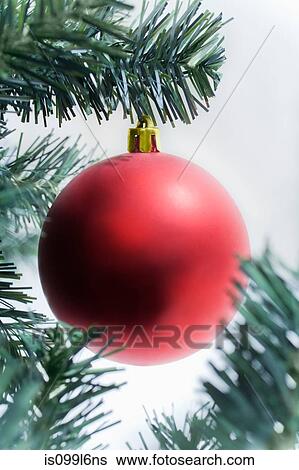 Stock Photograph - Red christmas bauble on tree. Fotosearch