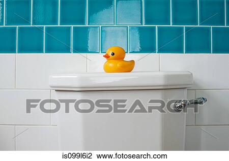 Rubber duck on toilet View Large Photo Image Stock Image - Rubber duck on toilet. Fotosearch