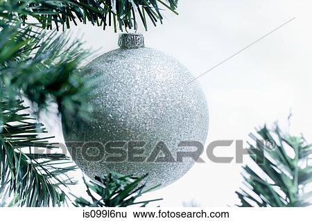 Silver christmas bauble on tree View Large Photo Image Stock Photograph - Silver christmas bauble on tree. Fotosearch